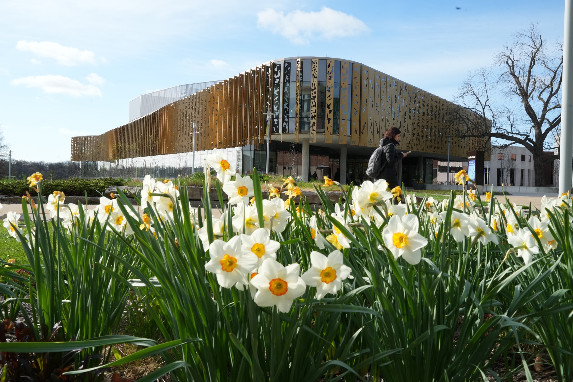 Gold-panelled student centre building with daffodils